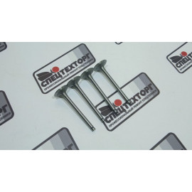 Клапан впускной Doosan 440 plus K1019240