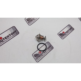 Термостат Doosan D15S2, D18S2, D20SC2 A293296