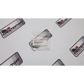 Форсунка масляная цепи привода ГРМ ISUZU 4JJ1 8973560611